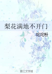 梨花滿地不開門